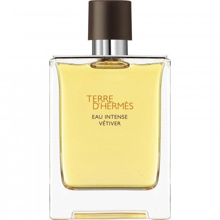Terre D'Hermes Eau Intense Vetiver Men, Hermes, FragrancePrime