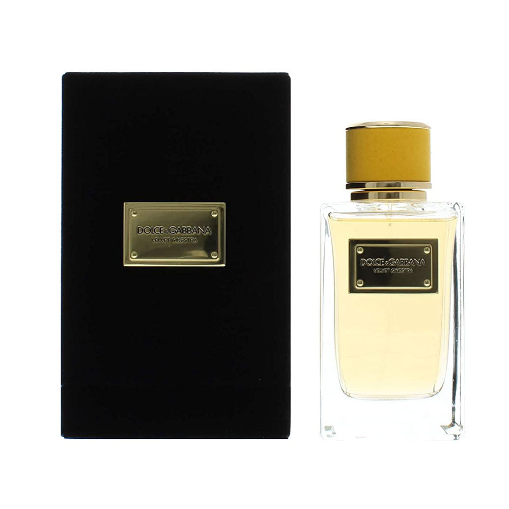 Dolce & Gabbana Velvet Ginestra Women, DOLCE GABBANA, FragrancePrime