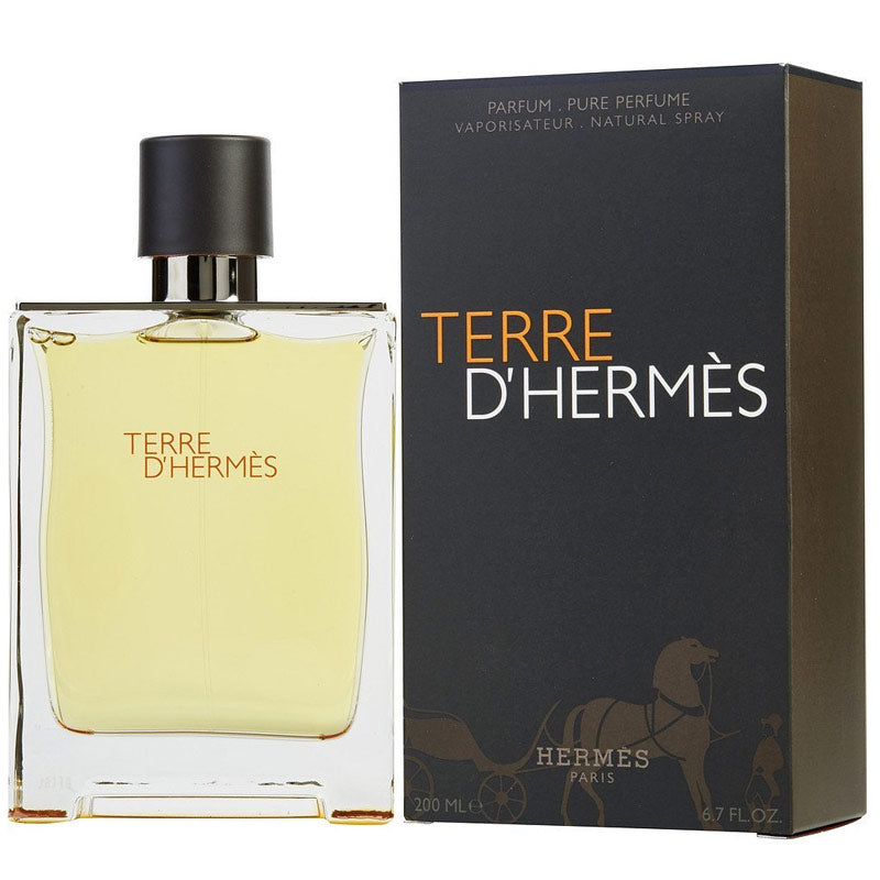 Terre D'hermes Edp Men, Hermes, FragrancePrime